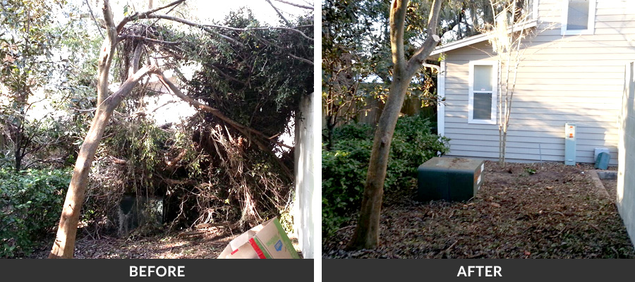 Storm Debris Cleanup Before and After